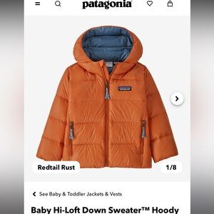 Patagonia Baby Hi-Loft Down Sweater Hoody